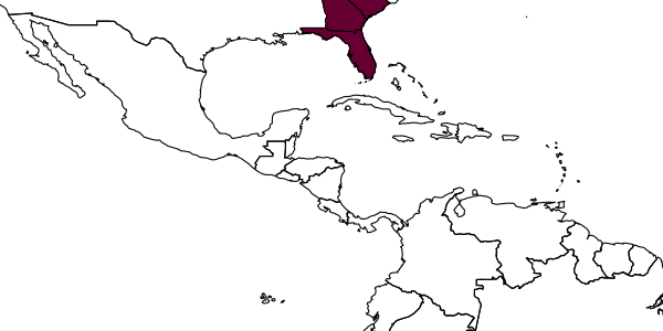 map of Timulla vagans  rufinota   Mickel, 1937